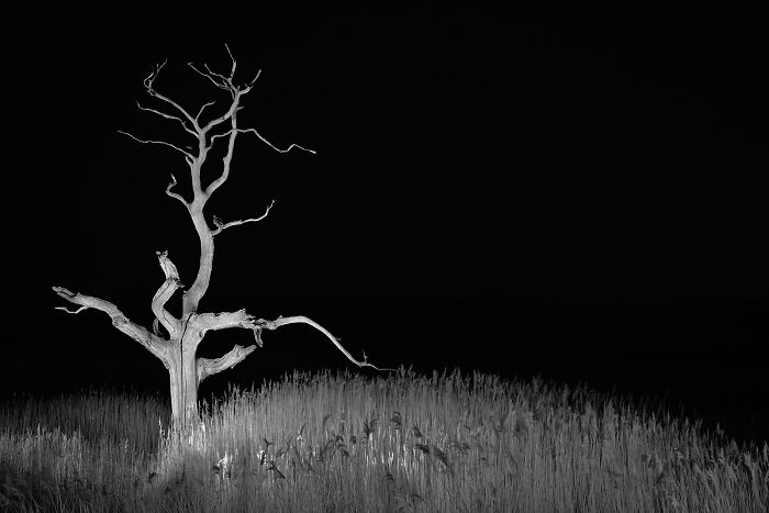 These Captivating Photos Reveal New Perspectives At The Minimalist Photography Awards 2026 (34 Pics) These Captivating Photos Reveal New Perspectives At The Minimalist Photography Awards 2026 (34 Pics)