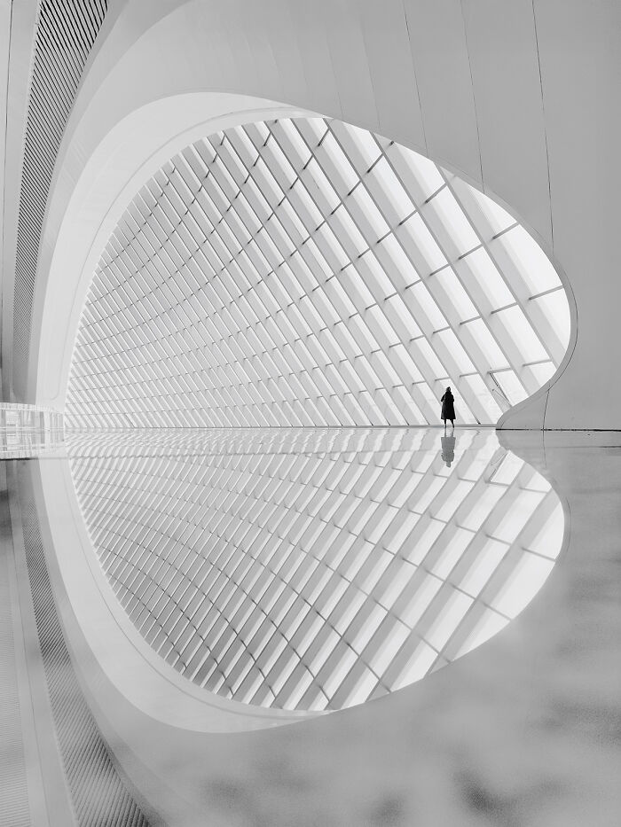 These Captivating Photos Reveal New Perspectives At The Minimalist Photography Awards 2026 (34 Pics) These Captivating Photos Reveal New Perspectives At The Minimalist Photography Awards 2026 (34 Pics)