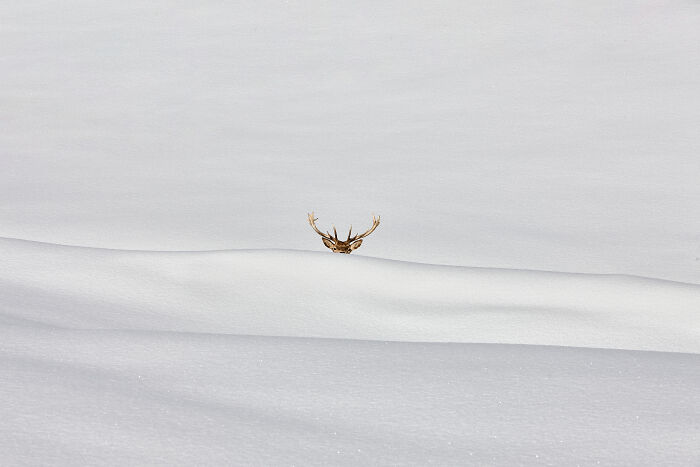 These Captivating Photos Reveal New Perspectives At The Minimalist Photography Awards 2026 (34 Pics) These Captivating Photos Reveal New Perspectives At The Minimalist Photography Awards 2026 (34 Pics)