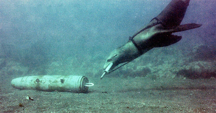 Bat Bombs: The Unbelievable WWII Superweapon That Almost Happened, But Never Would Have Worked Bat Bombs: The Unbelievable WWII Superweapon That Almost Happened, But Never Would Have Worked