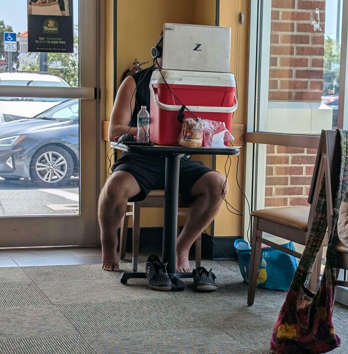 73 Unhinged Moments That Could Only Happen In Florida 73 Unhinged Moments That Could Only Happen In Florida