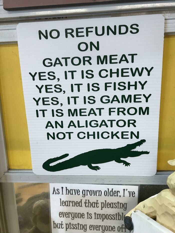 73 Unhinged Moments That Could Only Happen In Florida 73 Unhinged Moments That Could Only Happen In Florida