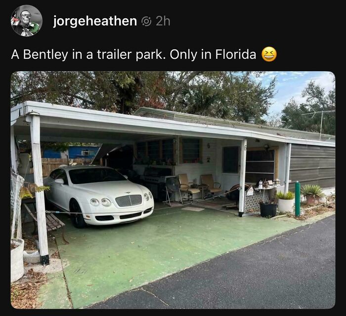 73 Unhinged Moments That Could Only Happen In Florida 73 Unhinged Moments That Could Only Happen In Florida