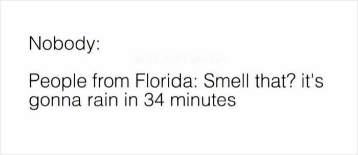 73 Unhinged Moments That Could Only Happen In Florida 73 Unhinged Moments That Could Only Happen In Florida