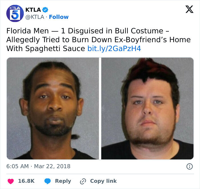 73 Unhinged Moments That Could Only Happen In Florida 73 Unhinged Moments That Could Only Happen In Florida