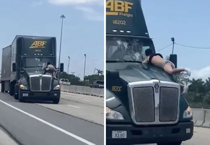 73 Unhinged Moments That Could Only Happen In Florida 73 Unhinged Moments That Could Only Happen In Florida
