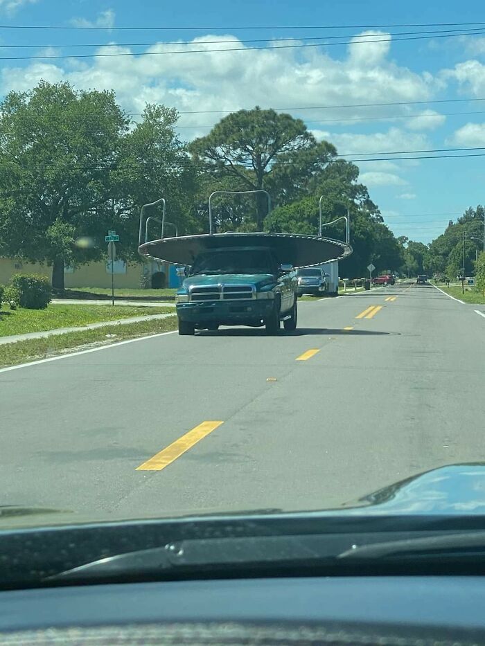 73 Unhinged Moments That Could Only Happen In Florida 73 Unhinged Moments That Could Only Happen In Florida