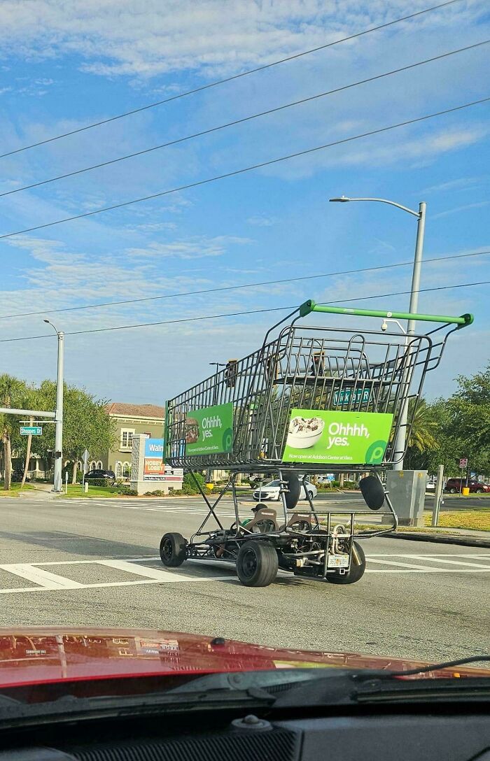 73 Unhinged Moments That Could Only Happen In Florida 73 Unhinged Moments That Could Only Happen In Florida