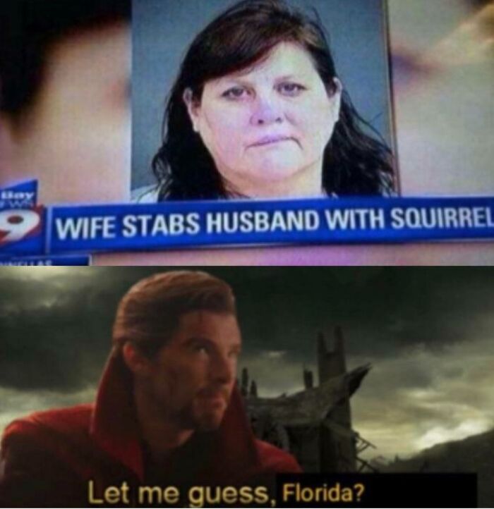 73 Unhinged Moments That Could Only Happen In Florida 73 Unhinged Moments That Could Only Happen In Florida