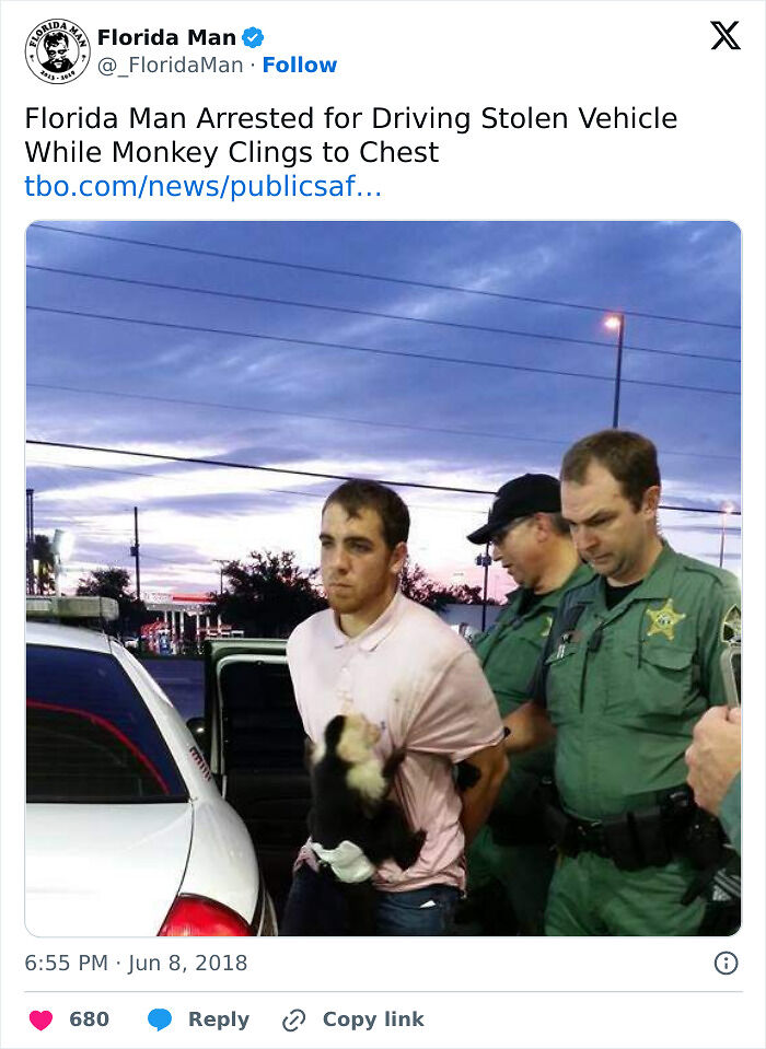 73 Unhinged Moments That Could Only Happen In Florida 73 Unhinged Moments That Could Only Happen In Florida