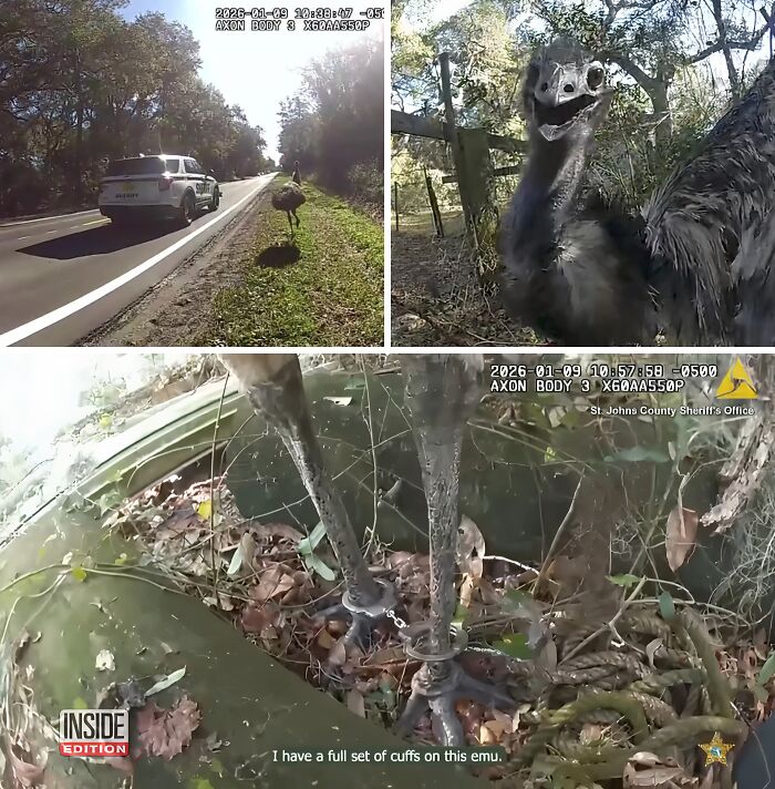 73 Unhinged Moments That Could Only Happen In Florida 73 Unhinged Moments That Could Only Happen In Florida
