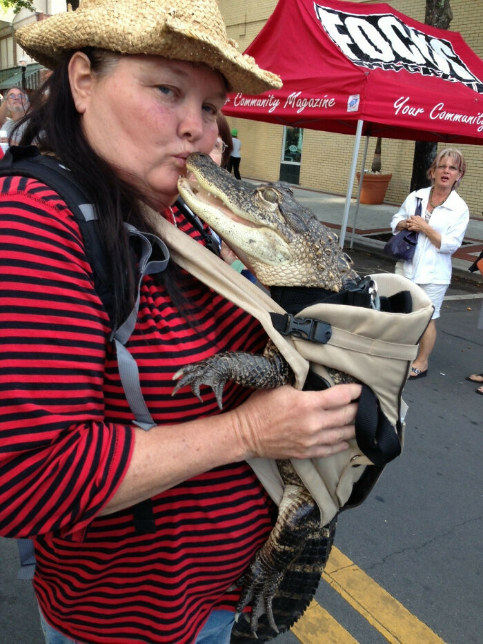 73 Unhinged Moments That Could Only Happen In Florida 73 Unhinged Moments That Could Only Happen In Florida