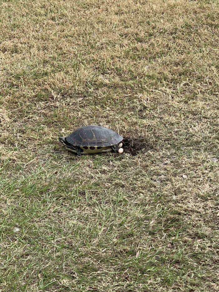 73 Unhinged Moments That Could Only Happen In Florida 73 Unhinged Moments That Could Only Happen In Florida