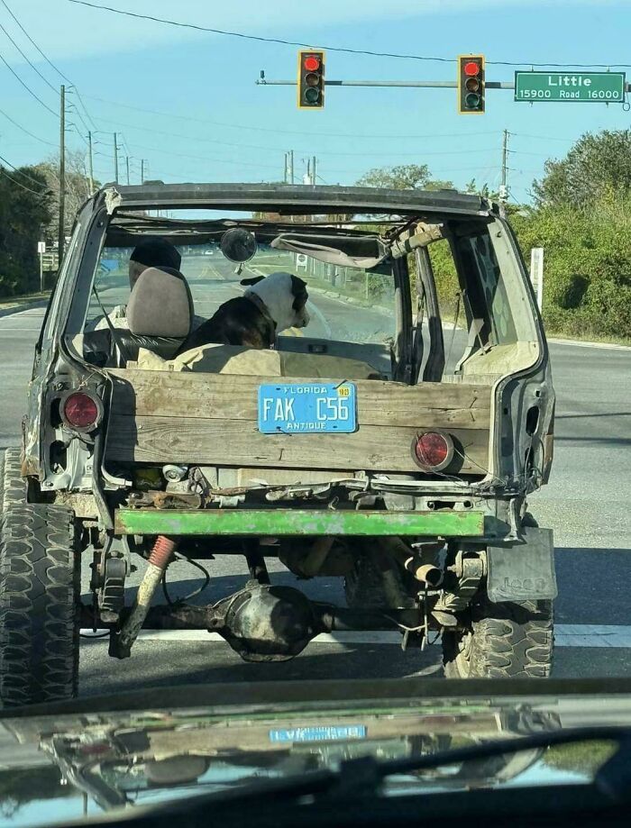 73 Unhinged Moments That Could Only Happen In Florida 73 Unhinged Moments That Could Only Happen In Florida