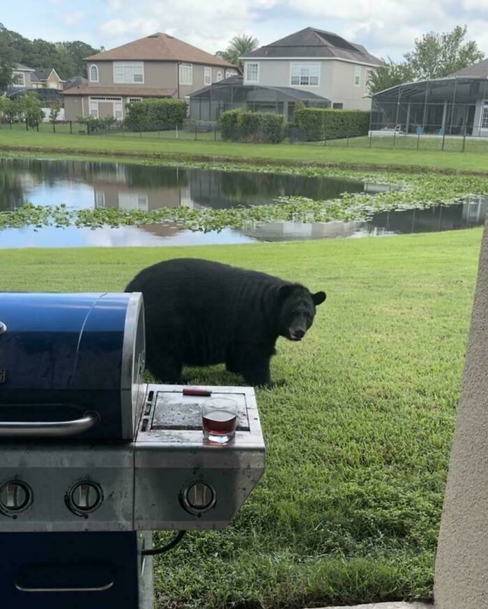 73 Unhinged Moments That Could Only Happen In Florida 73 Unhinged Moments That Could Only Happen In Florida