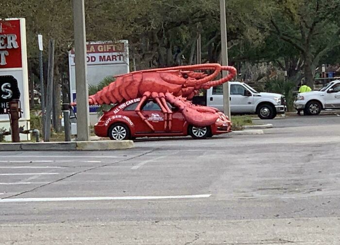 73 Unhinged Moments That Could Only Happen In Florida 73 Unhinged Moments That Could Only Happen In Florida