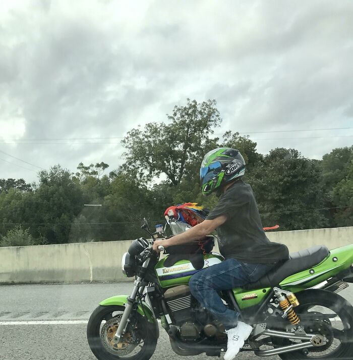 73 Unhinged Moments That Could Only Happen In Florida 73 Unhinged Moments That Could Only Happen In Florida