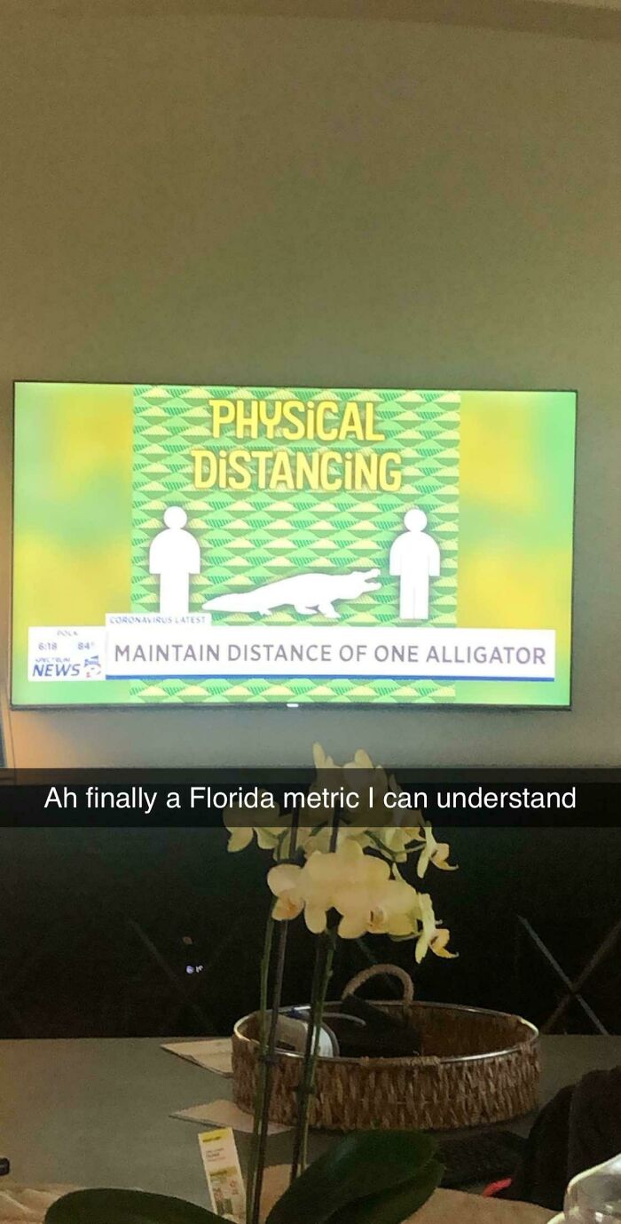 73 Unhinged Moments That Could Only Happen In Florida 73 Unhinged Moments That Could Only Happen In Florida