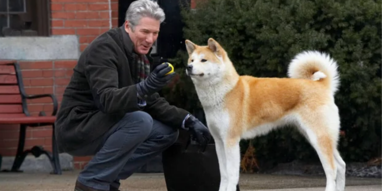 Richard Gere in Hachi: A Dog's Tale (2009) Richard Gere in Hachi: A Dog's Tale (2009)