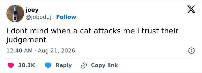 The Summer Is Ending But These 73 Funny Tweets Are Here To Keep Up The Good Mood (August Edition) The Summer Is Ending But These 73 Funny Tweets Are Here To Keep Up The Good Mood (August Edition)