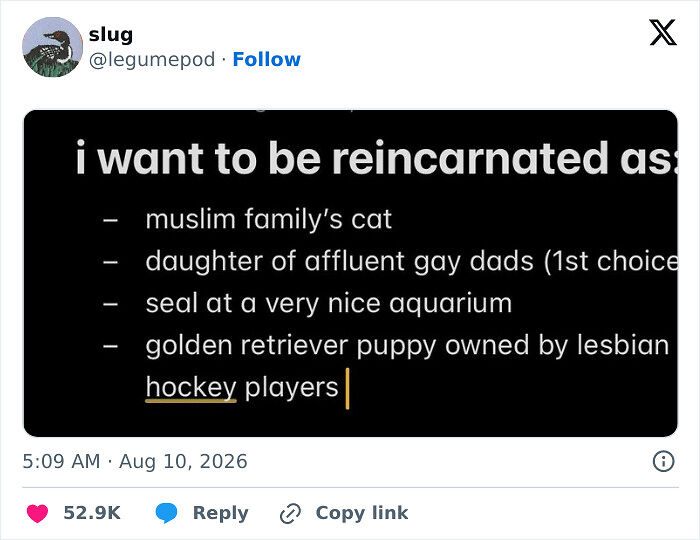 The Summer Is Ending But These 73 Funny Tweets Are Here To Keep Up The Good Mood (August Edition) The Summer Is Ending But These 73 Funny Tweets Are Here To Keep Up The Good Mood (August Edition)