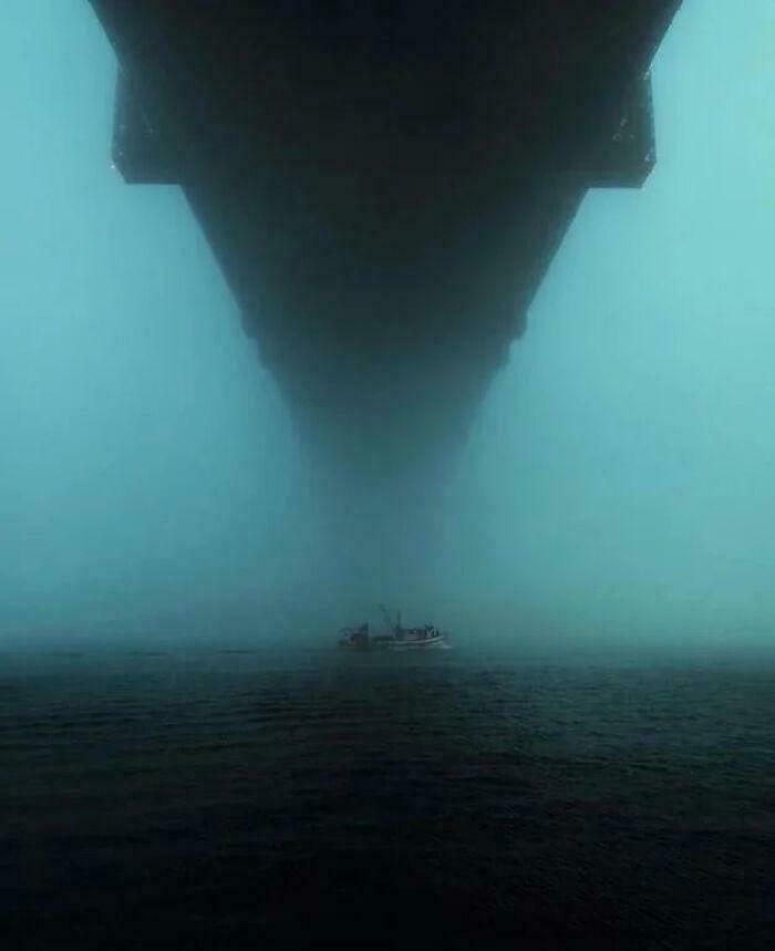 57 Unsettling Photos And Pictures That Made People Regret Having Eyes 57 Unsettling Photos And Pictures That Made People Regret Having Eyes