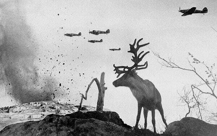 110 Moments Nearly Lost To History That Everyone Should See