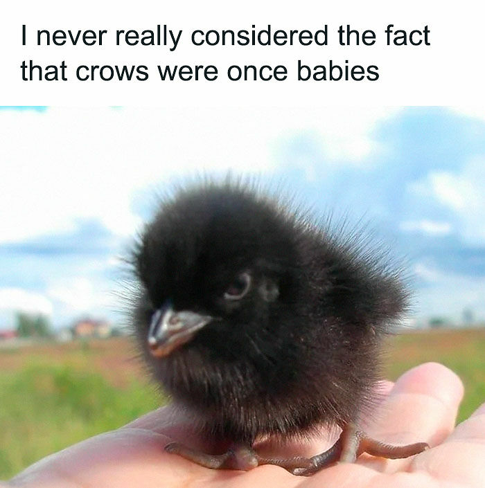 102 Wholesome Posts That Feel Like A Tiny Break From Everything Going Wrong