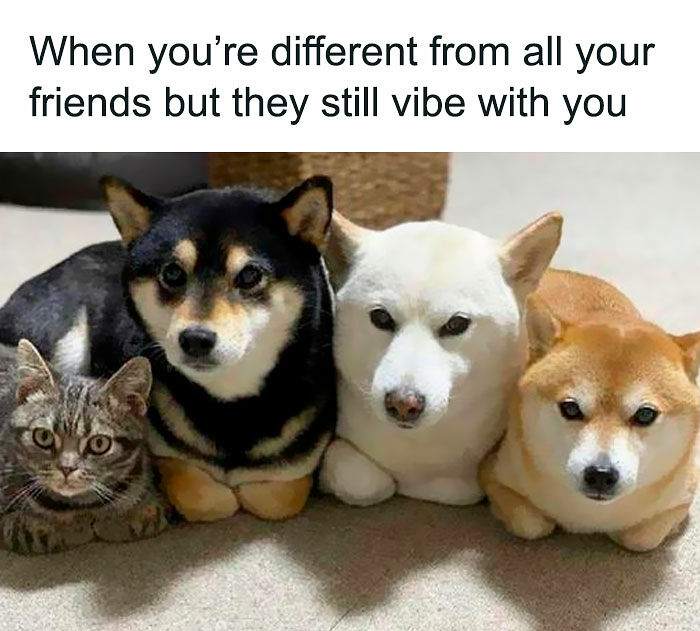 102 Wholesome Posts That Feel Like A Tiny Break From Everything Going Wrong