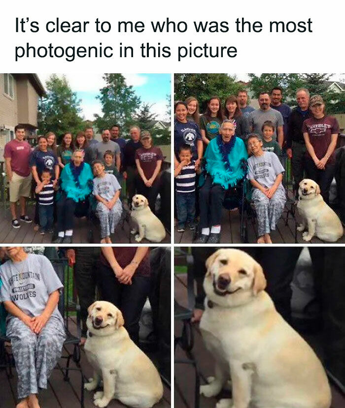 102 Wholesome Posts That Feel Like A Tiny Break From Everything Going Wrong