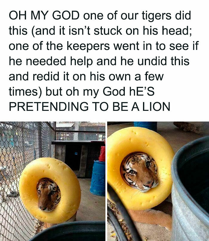 102 Wholesome Posts That Feel Like A Tiny Break From Everything Going Wrong