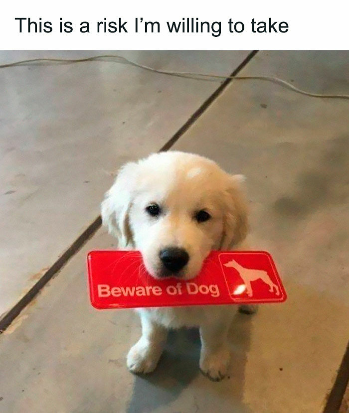 102 Wholesome Posts That Feel Like A Tiny Break From Everything Going Wrong