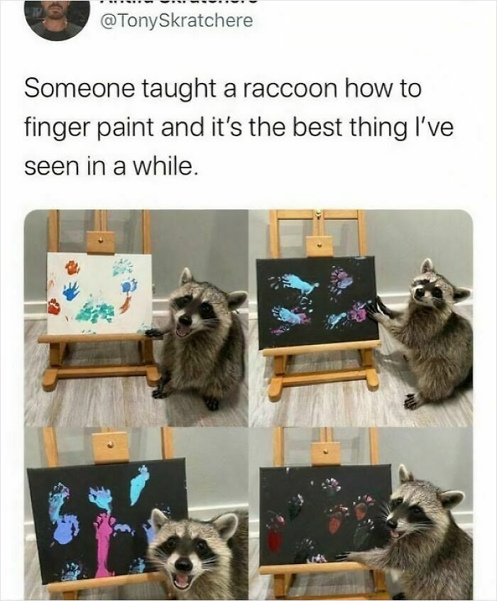 102 Wholesome Posts That Feel Like A Tiny Break From Everything Going Wrong