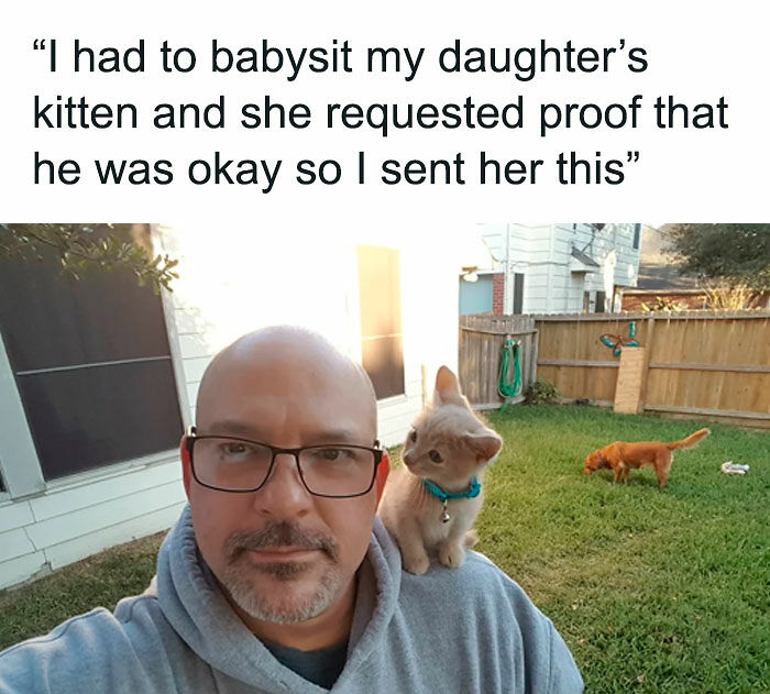 102 Wholesome Posts That Feel Like A Tiny Break From Everything Going Wrong