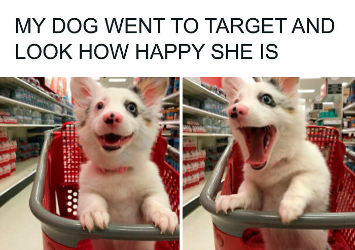 102 Wholesome Posts That Feel Like A Tiny Break From Everything Going Wrong