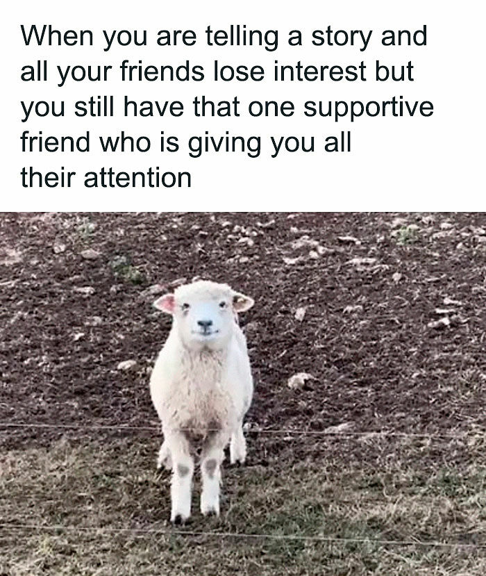 102 Wholesome Posts That Feel Like A Tiny Break From Everything Going Wrong