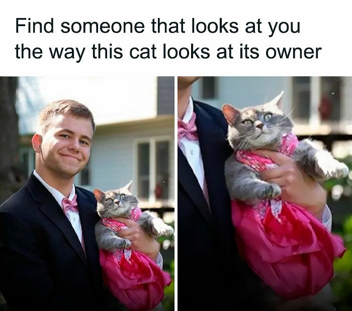 102 Wholesome Posts That Feel Like A Tiny Break From Everything Going Wrong