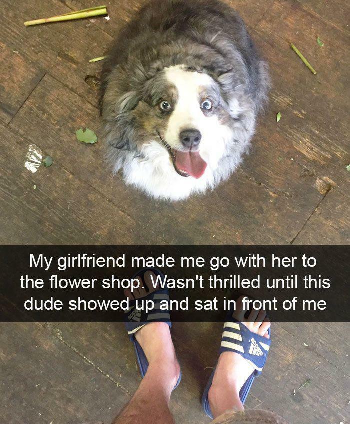 102 Wholesome Posts That Feel Like A Tiny Break From Everything Going Wrong