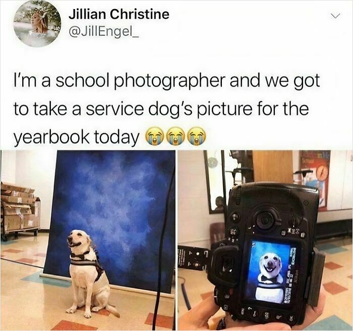 102 Wholesome Posts That Feel Like A Tiny Break From Everything Going Wrong