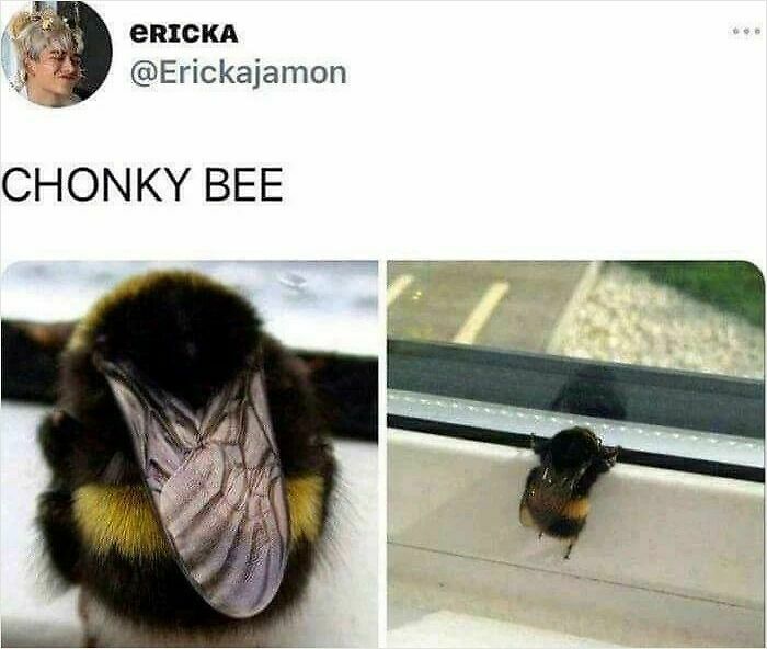 102 Wholesome Posts That Feel Like A Tiny Break From Everything Going Wrong