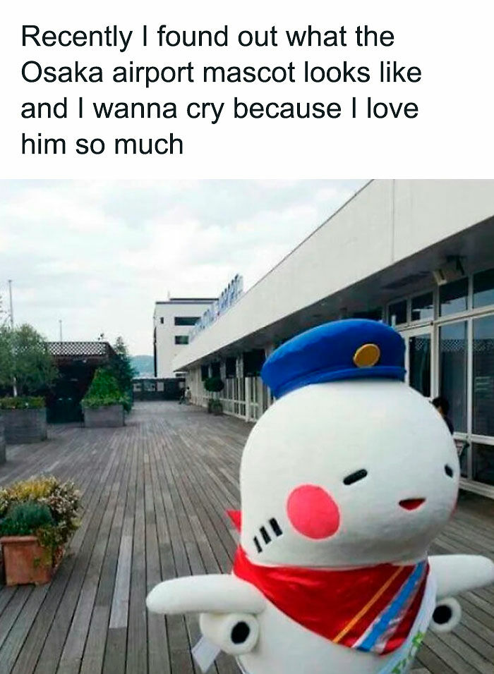 102 Wholesome Posts That Feel Like A Tiny Break From Everything Going Wrong