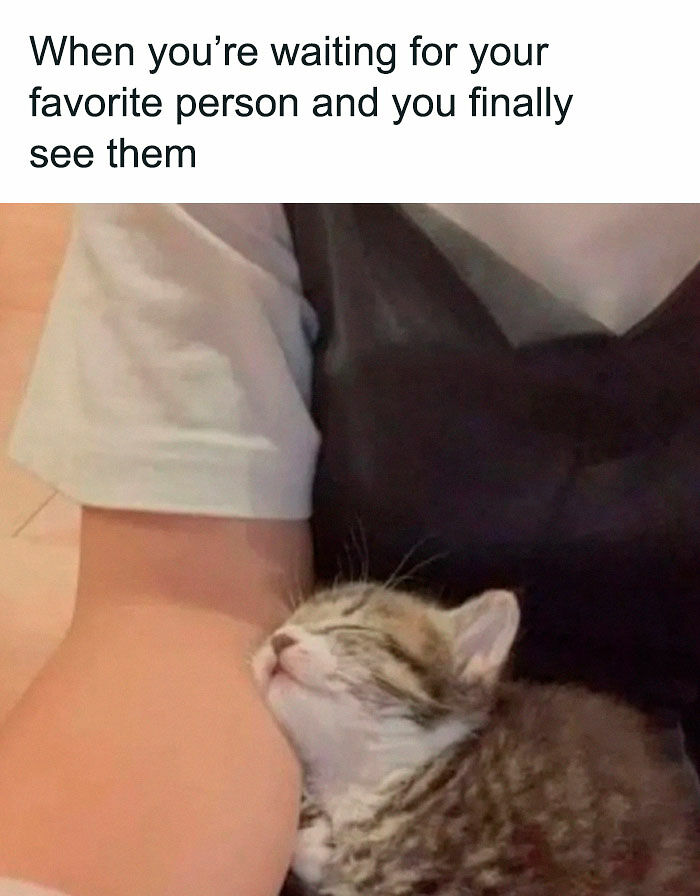 102 Wholesome Posts That Feel Like A Tiny Break From Everything Going Wrong