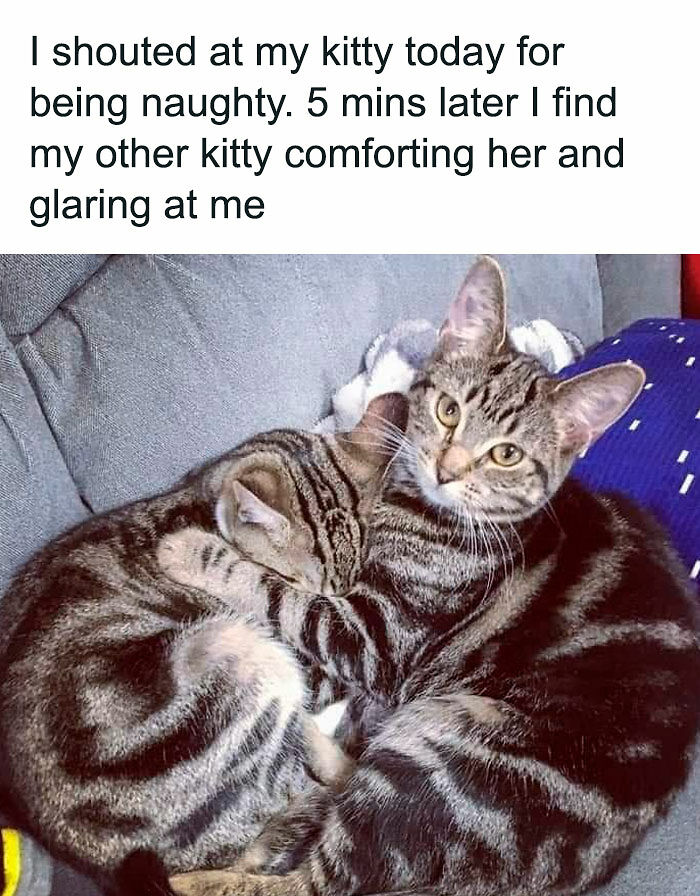 102 Wholesome Posts That Feel Like A Tiny Break From Everything Going Wrong