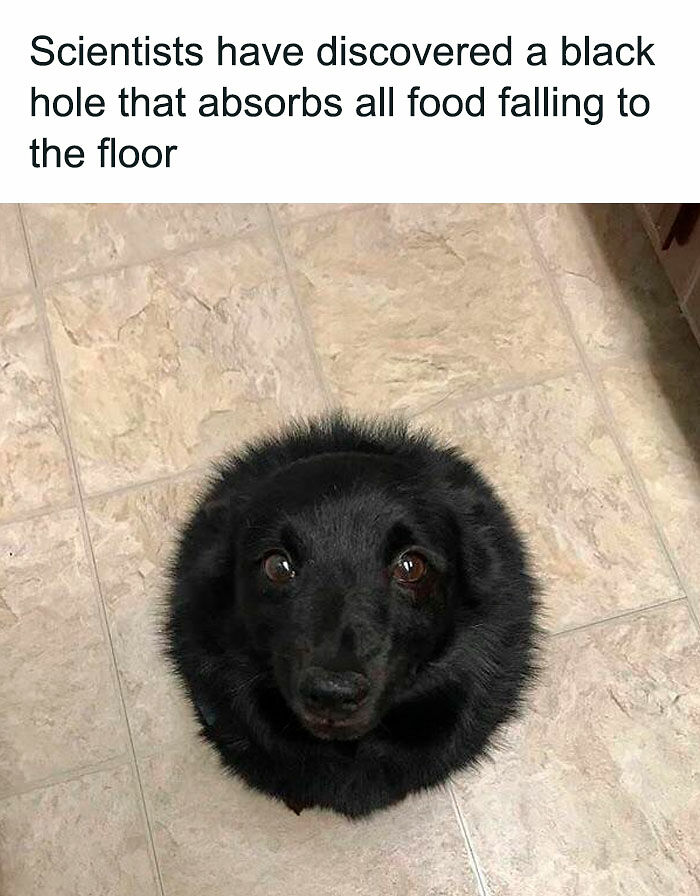 102 Wholesome Posts That Feel Like A Tiny Break From Everything Going Wrong