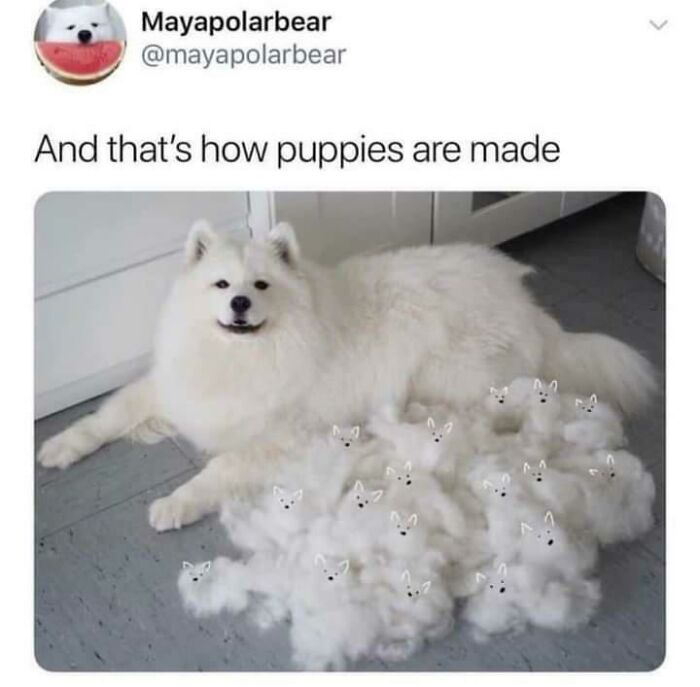 102 Wholesome Posts That Feel Like A Tiny Break From Everything Going Wrong