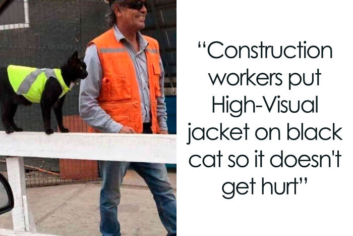 102 Wholesome Posts That Feel Like A Tiny Break From Everything Going Wrong