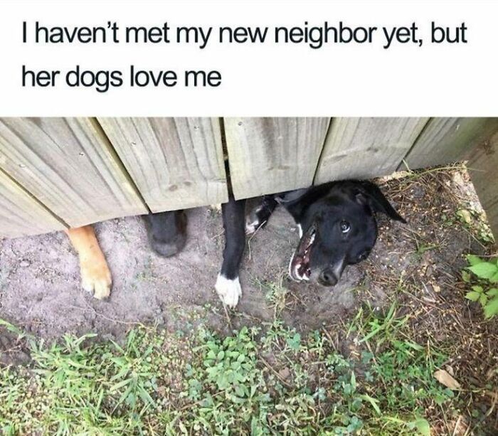 102 Wholesome Posts That Feel Like A Tiny Break From Everything Going Wrong