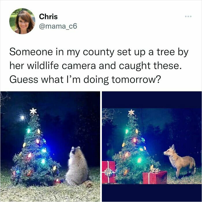 102 Wholesome Posts That Feel Like A Tiny Break From Everything Going Wrong