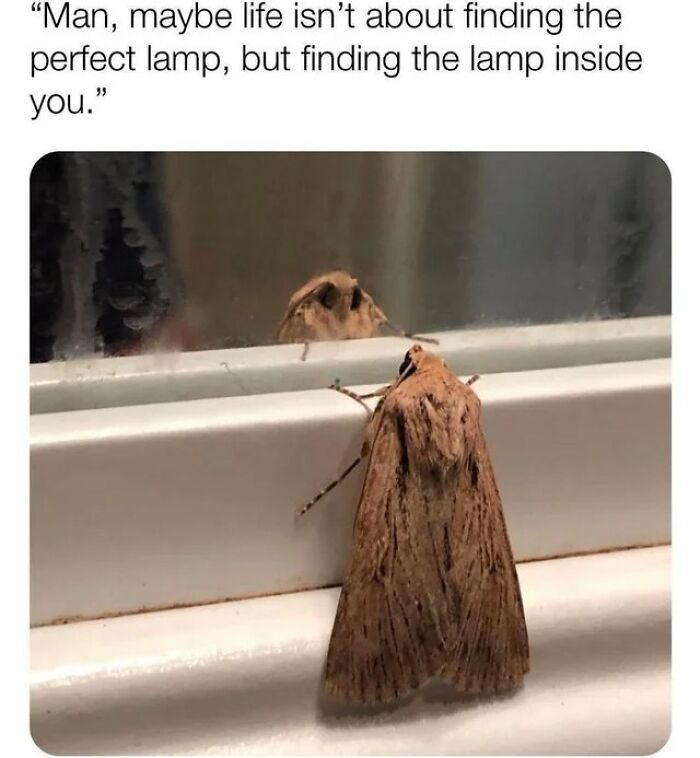 102 Wholesome Posts That Feel Like A Tiny Break From Everything Going Wrong