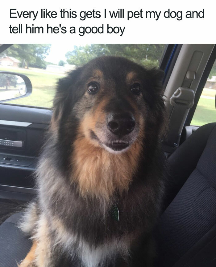 102 Wholesome Posts That Feel Like A Tiny Break From Everything Going Wrong